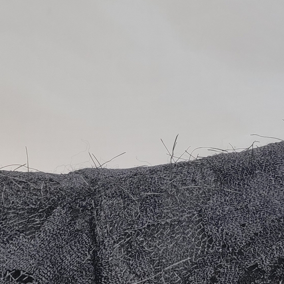 Finn & Clover Lace Sleeveless Mini Dress Small - Picture 7 of 9